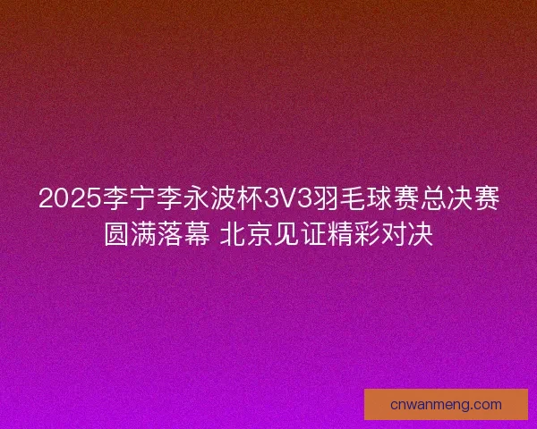 2025李宁李永波杯3V3羽毛球赛总决赛圆满落幕 北京见证精彩对决