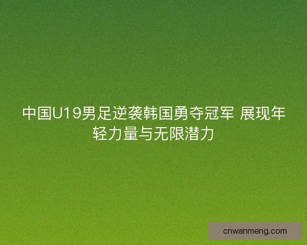 中国U19男足逆袭韩国勇夺冠军 展现年轻力量与无限潜力